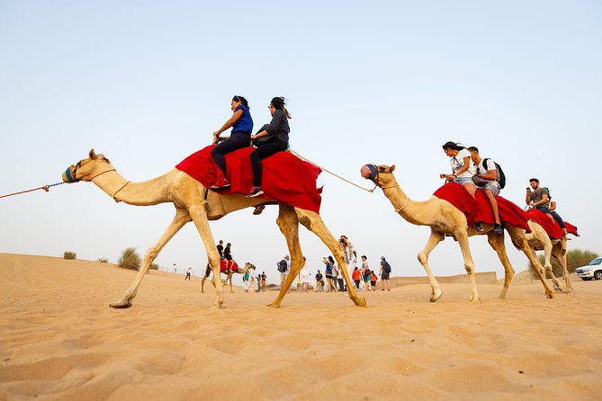 Dubai Combo:City Tour and Premium Desert Safari with all Activities - Why the two-day Dubai plan works