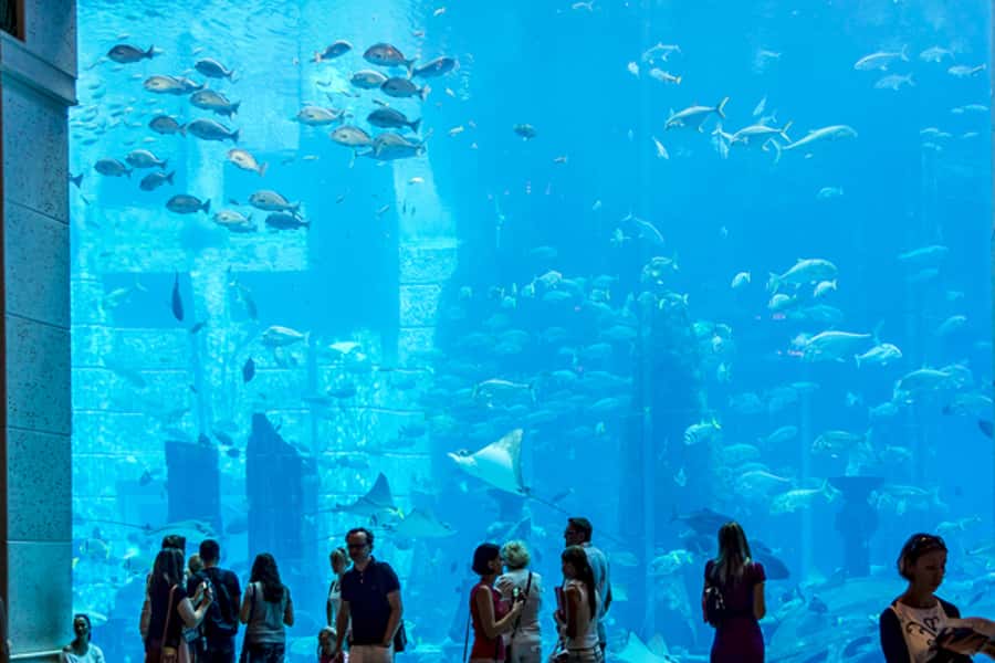 Dubai Combo: Morning City Tour & Evening Desert Safari - One day, two faces of Dubai