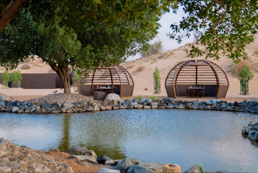 Dubai: Conservation Drive & Platinum Breakfast - What $189 buys you
