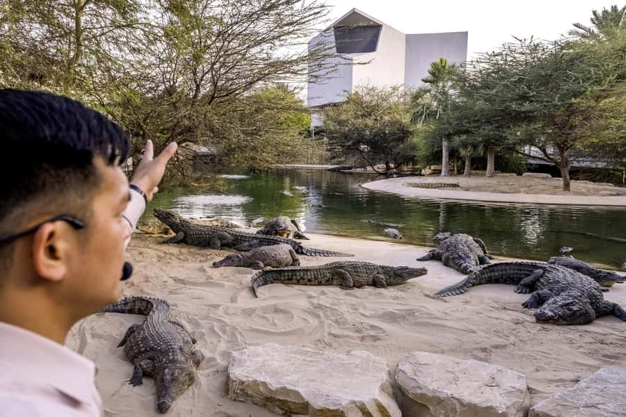 Dubai Crocodile Park Ticket - How long the visit takes