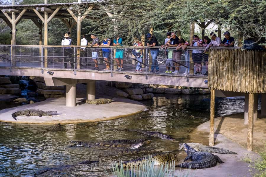 Dubai Crocodile Park Ticket - Who will enjoy Dubai Crocodile Park?