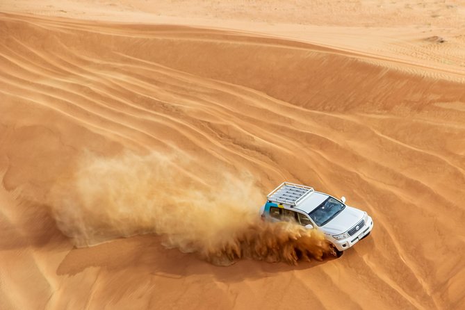 Dubai Desert 4x4 Dune Bashing, Sandboarding, Camel Riding, Dinner - Falconry and the meaning of the bird
