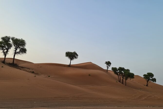 Dubai Desert 4x4 Dune Bashing, Self-Ride 30min ATV Quad, Camel Ride,Shows,Dinner - Camel riding and sandboarding