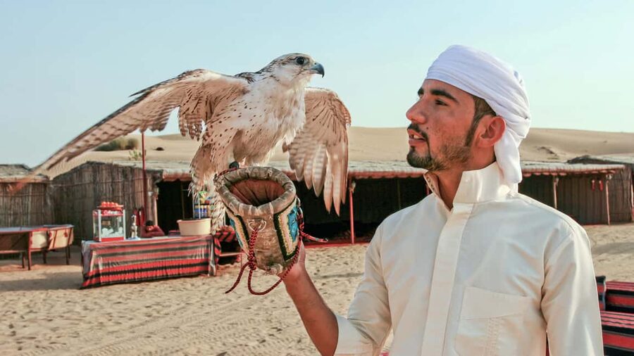 Dubai Desert Adventure: Red Dunes Guided Quad/Polaris & BBQ - Sandboarding and a sunset over Lahbab
