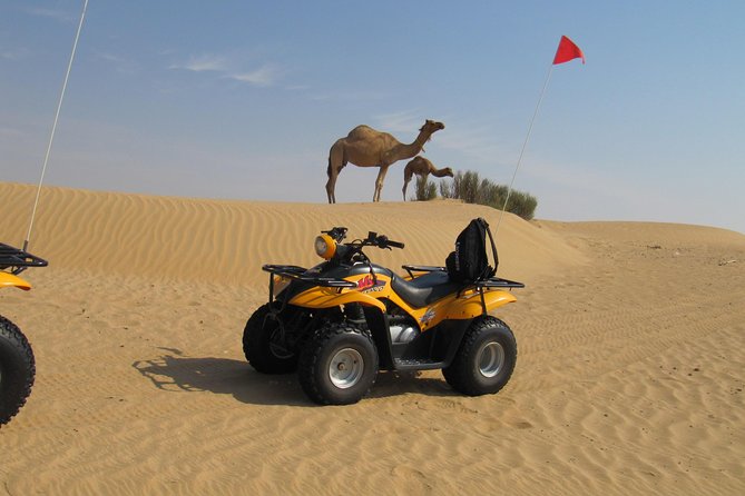 Dubai Desert Afternoon Quad Safari with Camel Ride, BBQ Dinner and Belly Dancing - What the $120 price really covers