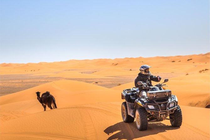 Dubai Desert BBQ Dinner, Camel Ride, Sandboarding and Live Shows - Sandboarding and the short camel ride