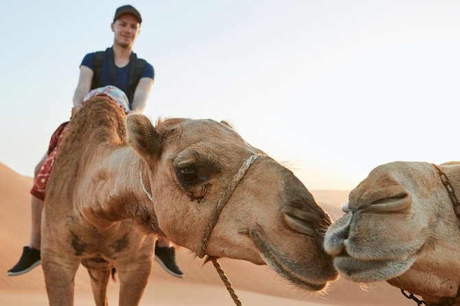 Dubai Desert Bespoke: Red Dunes Safari, Camel Ride & BBQ Options - The four-hour choice is the smart starting point