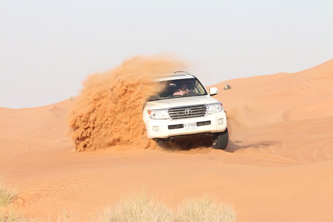 Dubai Desert Bespoke: Red Dunes Safari, Camel Ride & BBQ Options - Falcon photos and other costs to watch