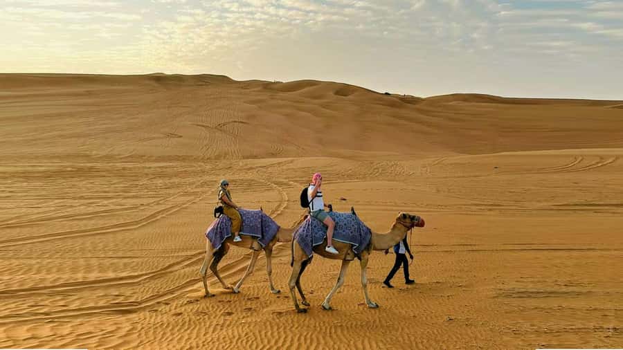 Dubai: Desert Camel Ride with Live Shows & BBQ Buffet Dinner - BBQ dinner and live performances