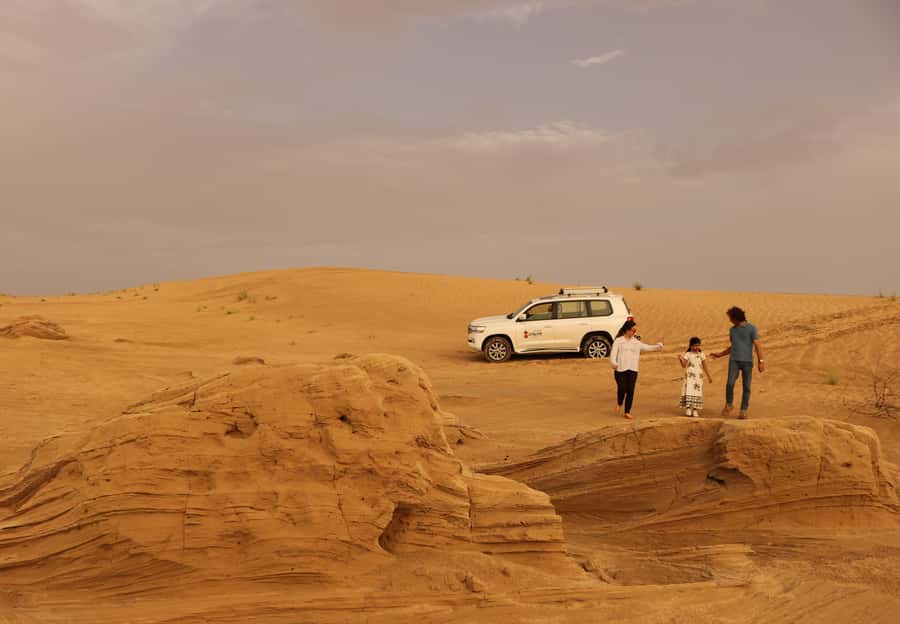 Dubai Desert Morning Drive with Wildlife Experience - Al Qudra Lakes and the birdlife