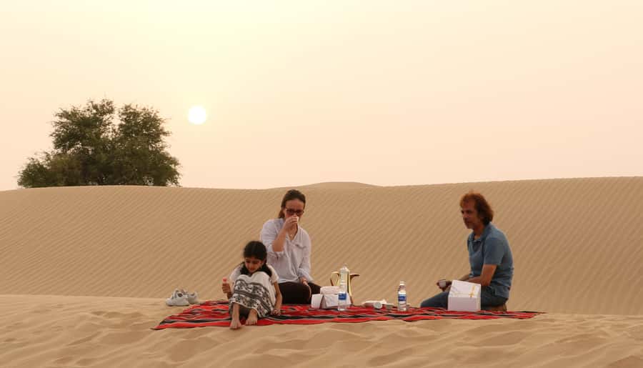 Dubai Desert Morning Drive with Wildlife Experience - What the $85 price really buys