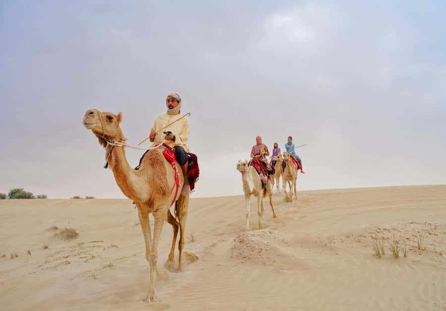 Dubai: Desert Safari, Camel Ride, Sandboard & Buffet Dinner - A short camel ride with time for photos