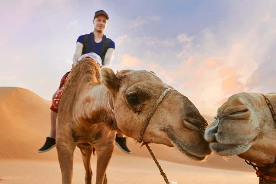 Dubai Desert Safari - Camel Ride, Sandboarding & 30 Min Quad - Morning or afternoon: which time works best?
