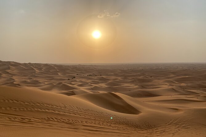 Dubai Desert Safari, Camel Ride, Shisha, Henna, Live BBQ & Shows - Who will enjoy this safari most