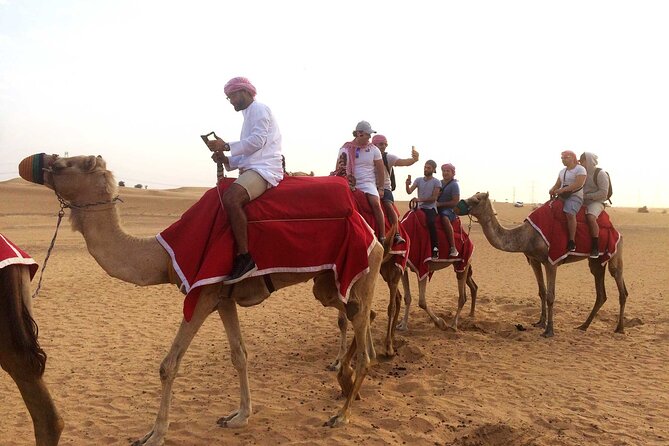 Dubai: Desert Safari, Camel Ride, Show & Optional Dinner - The 40-minute dune-bashing ride