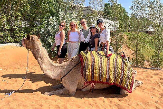 Dubai Desert Safari: Dune Bashing, Camel Ride & BBQ Dinner - How the price works as a value