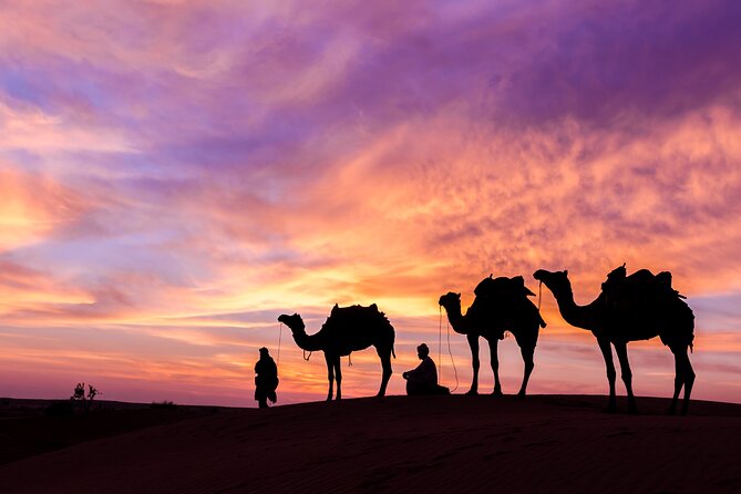Dubai Desert Safari Dune Bashing, Camel Ride, Sand Boarding, BBQ Dinner. - Belly Dancing, Tanura, Zumba, and Fire