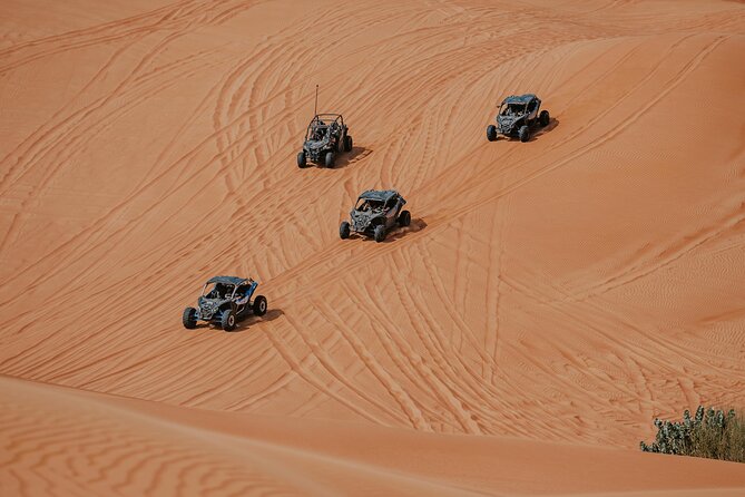 Dubai Desert Safari Dune Bashing, Camel Ride, Sandboarding & BBQ - What the $36.28 price really covers