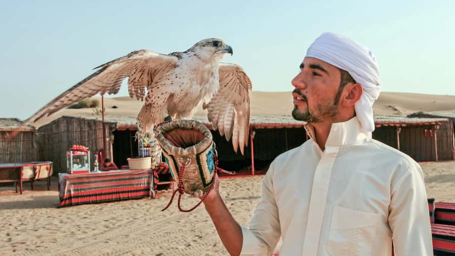 Dubai Desert Safari - Premium BBQ Dinner, Camel Ride & Shows - Sandboarding is simple, sandy fun