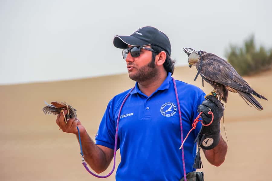 Dubai Desert Safari, Quad Biking, Camel Ride, & Sandboarding - Sandboarding on a soft dune