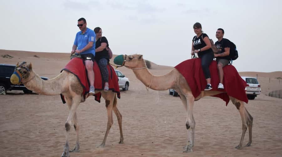 Dubai Desert Safari, Quad Biking, Camel Ride, & Sandboarding - Falafel first, BBQ after