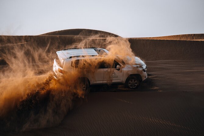Dubai Desert Safari Thrill: Camel Ride, Live shows, BBQ & Spirits - Who will enjoy this six-hour outing?
