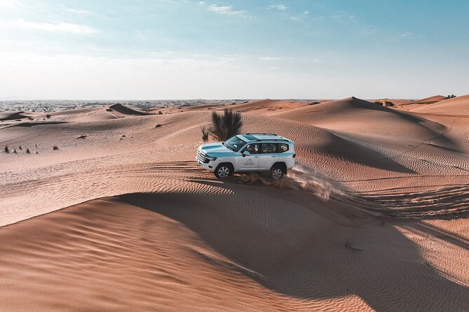 Dubai Desert Safari Thrill: Camel Ride, Live shows, BBQ & Spirits - Arabic coffee, dates, and the Bedouin camp