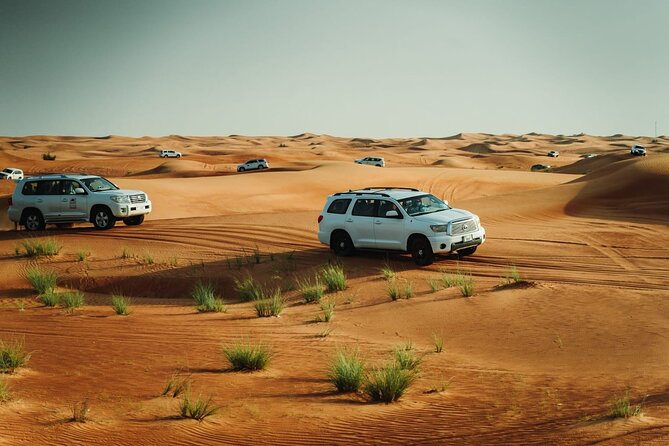 Dubai Desert safari Tour with Live BBQ & Belly Dance Shows - From Dubai streets to the Lahbab dunes