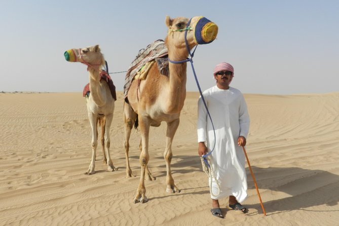 Dubai Desert Safari with BBQ, 3 Shows & Camel Ride at Majlis Camp - The three evening shows