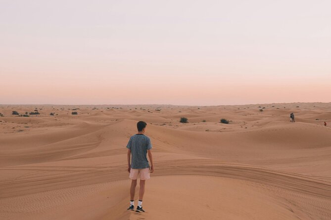 Dubai Desert Safari with BBQ Dinner and Live Shows - What the $32 price really covers