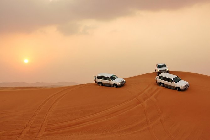 Dubai Desert Safari with BBQ Dinner, Camel Ride, and Shows - A five-minute camel ride, with plenty of photo chances