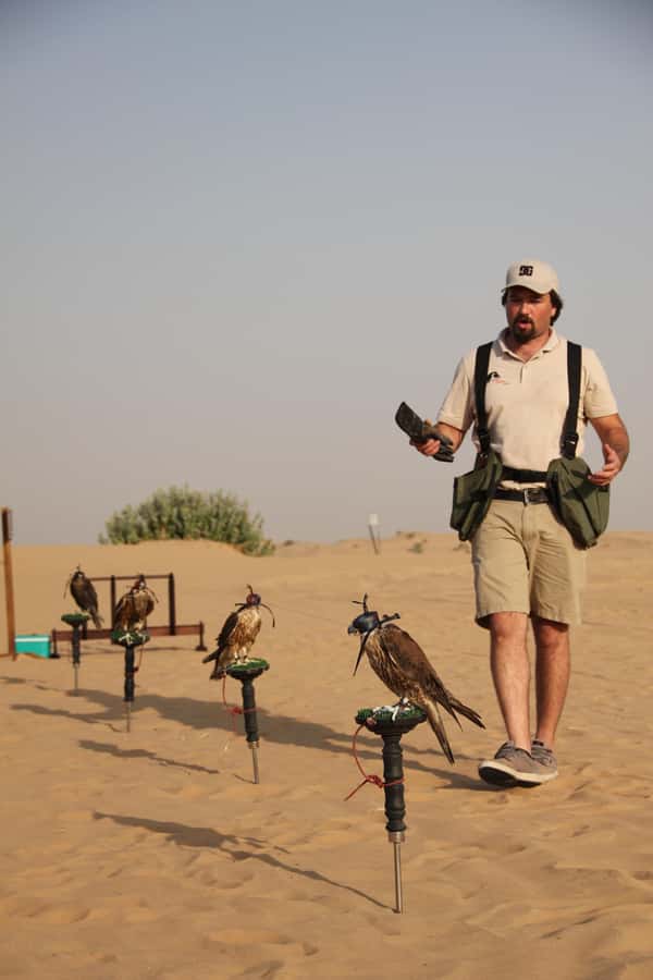 Dubai Desert Safari with Burj Khalifa (Ticket Only) - Dinner with plenty of choice