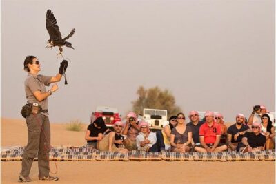 Desert Safari with Camel Ride & Dune Bashing