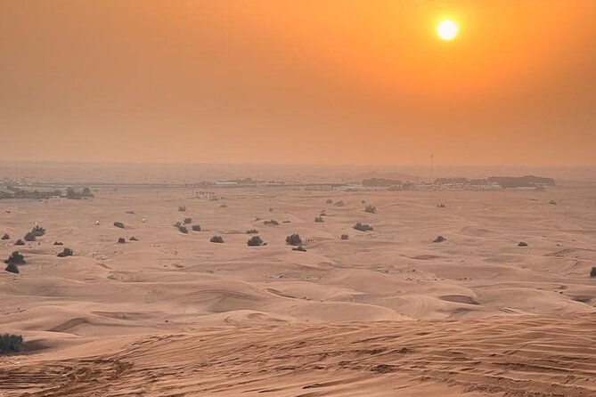 Dubai Desert Safari with Desert Camp Dinner, Camel Ride & Shows - From Dubai streets to open sand