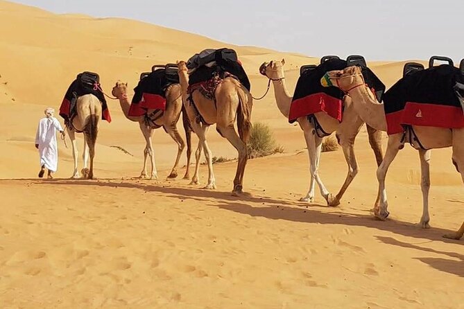 Dubai Desert Safari With Dune Bashing, Camel Ride & BBQ Dinner - Leaving Dubai for the Lahbab desert