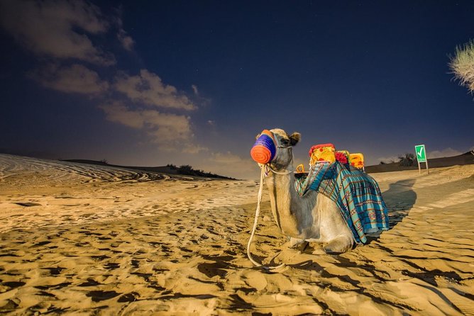 Dubai Desert Safari with Quad Bike, sandboarding, live show & BBQ - Dune bashing across Lahbab’s big red dunes
