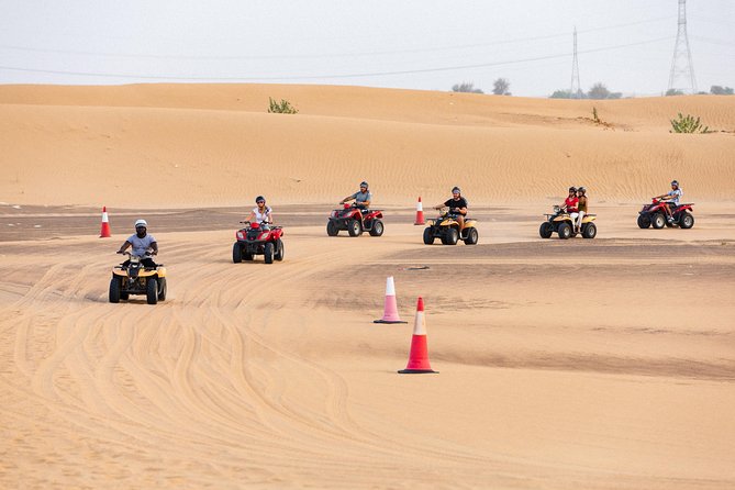 Dubai Desert Safari with Quads, BBQ Dinner, Camel ride, & Shows - BBQ dinner and two different stage shows