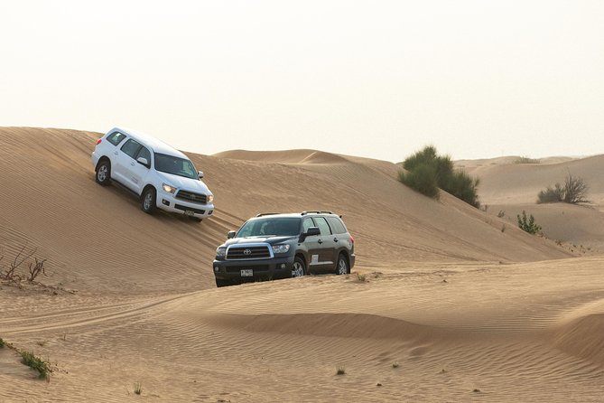 Dubai Desert Safari with Quads, BBQ Dinner, Camel ride, & Shows - Practical details before you book