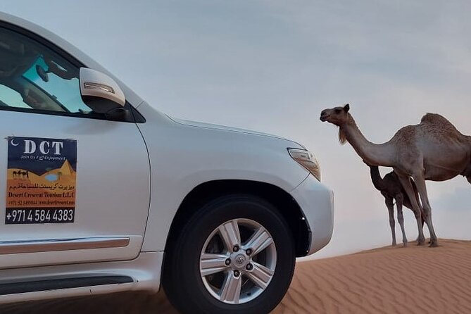 Dubai Desert Safari With Sandboarding & Camel Riding - Is $83.73 a fair price?