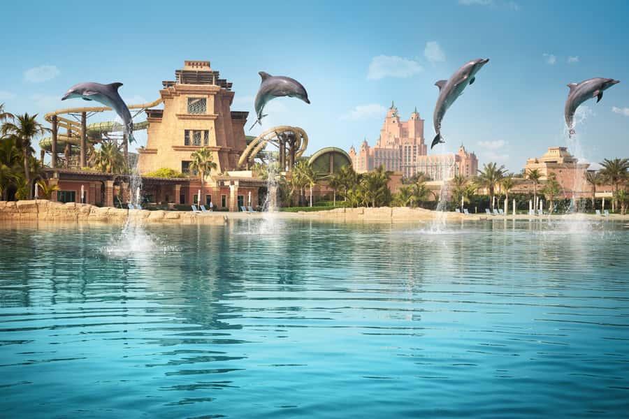 Dubai: Dolphin Encounter & Aquaventure Waterpark Ticket - Should you book the dolphin encounter and Aquaventure ticket?