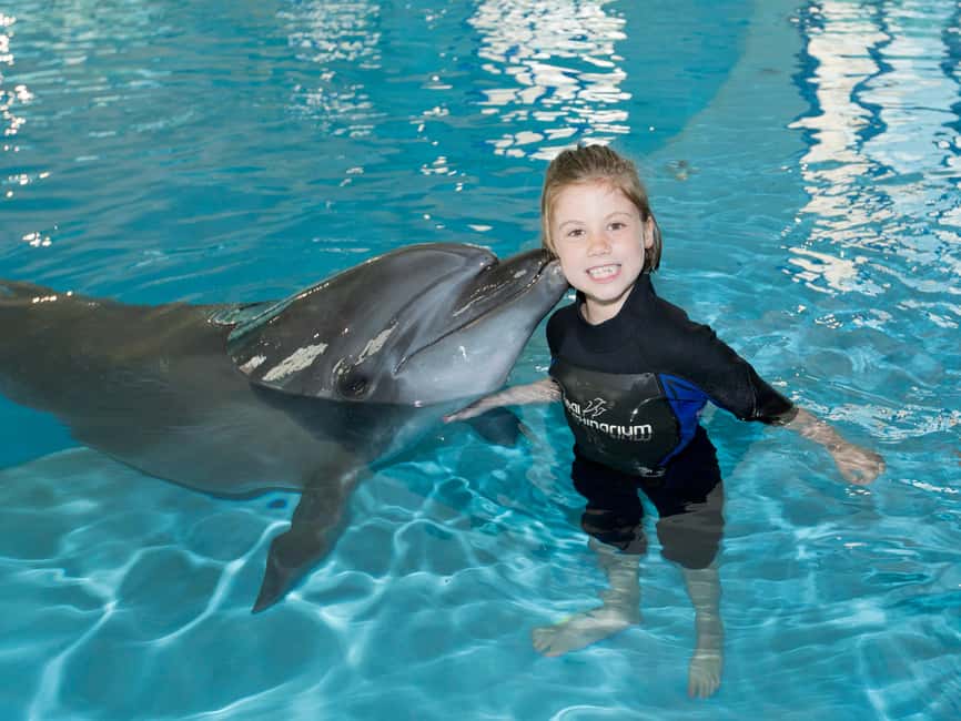 Dubai: Dubai Dolphinarium Dolphin, Seal & Bird Show Tickets - Choosing standard or VIP seats