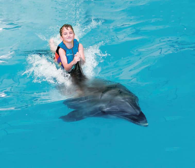 Dubai: Dubai Dolphinarium Dolphin, Seal & Bird Show Tickets - The experience in the context of Creek Park