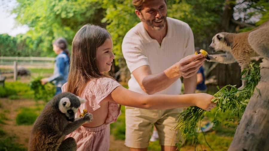 Dubai: Dubai Safari Park Entry Pass - Asian Village and its calmer habitats