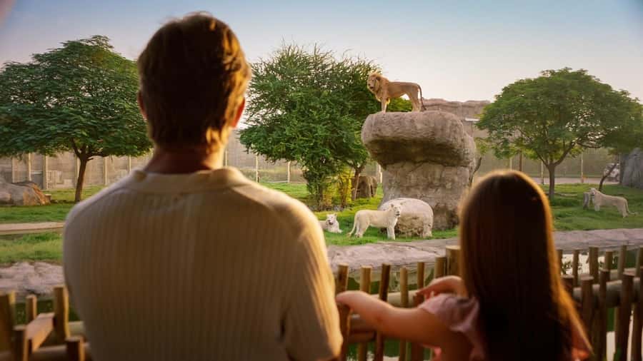 Dubai: Dubai Safari Park Entry Pass - Kids Farm for younger visitors