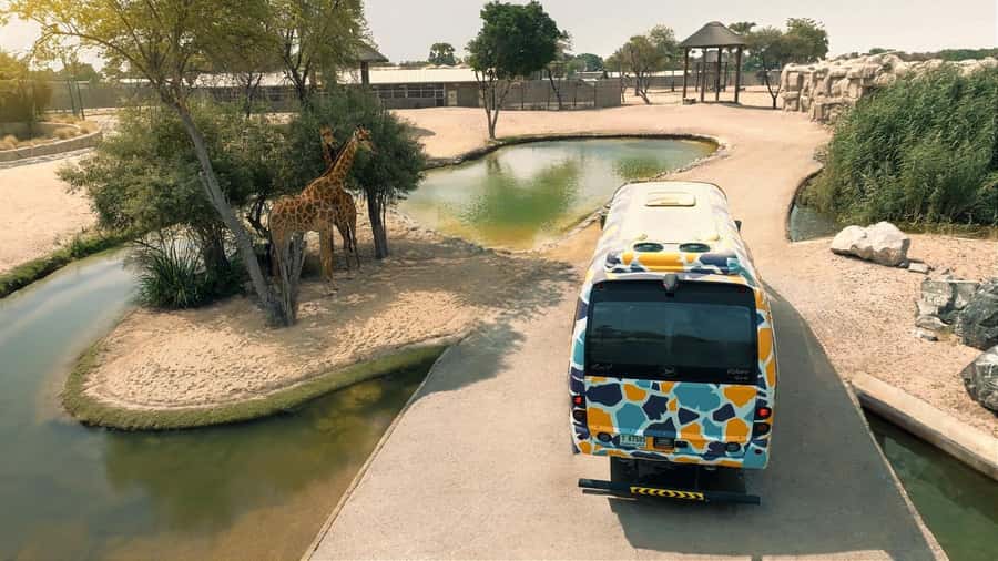 Dubai: Dubai Safari Park Entry Pass - The shows at Asian Village Theatre