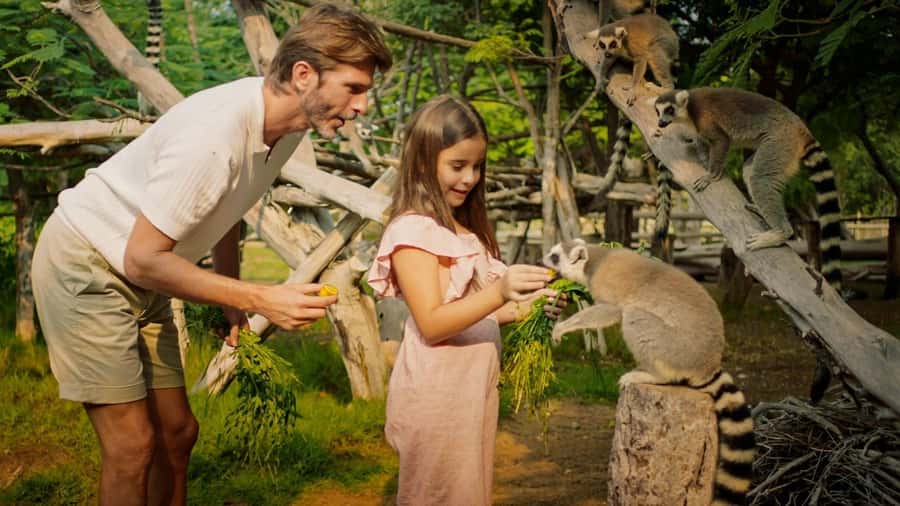 Dubai: Dubai Safari Park Entry Pass - What the $13 ticket really buys you