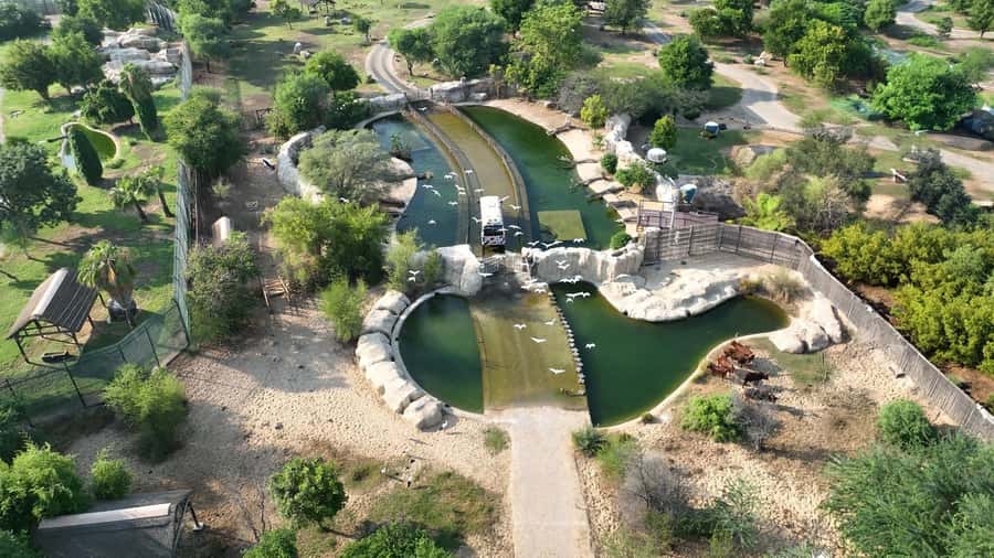 Dubai: Dubai Safari Park Entry Pass - Heat, timing, and getting around