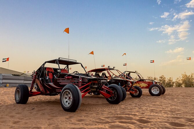 Dubai Dune Buggy Safari Tour in Red Dunes Options - Who will enjoy this most