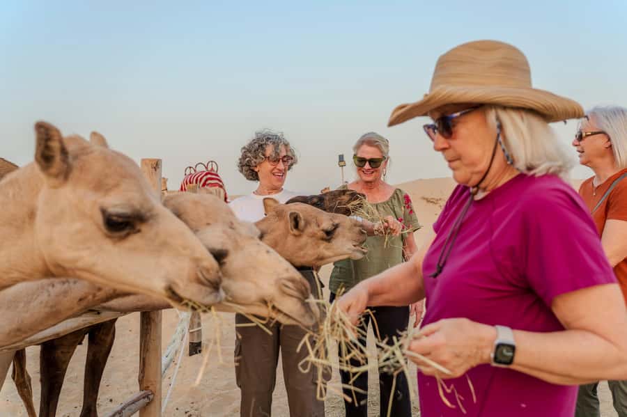 Dubai: Evening Camel Trekking & Dinner at Al Marmoom Oasis - Sunset, Falcon Photos, and Desert Traditions
