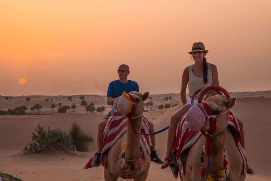 Dubai: Evening Camel Trekking & Dinner at Al Marmoom Oasis - Telescope Stargazing After the Lights Go Out